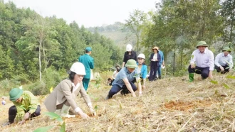 Hỗ trợ các xã hơn 7 tỷ đồng xây dựng nông thôn mới