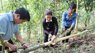 Bắc Hà sau hơn nửa nhiệm kỳ thực hiện nghị quyết đại hội đảng bộ các cấp