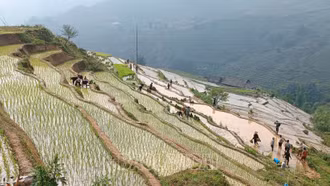 Nông dân vùng cao đẩy nhanh tiến độ gieo cấy lúa mùa sớm