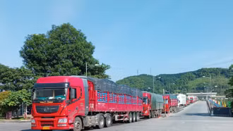 Giá trị xuất - nhập khẩu hàng hóa qua các cửa khẩu đạt gần 183 triệu USD trong tháng đầu năm