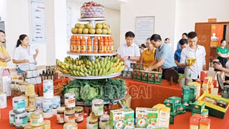 Liên kết sản xuất gắn với tiêu thụ nông sản