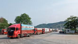 Giá trị xuất - nhập khẩu hàng hoá tháng 5/2024 tăng 89,22% so với cùng kỳ năm trước