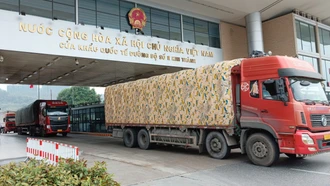 Kim ngạch xuất - nhập khẩu qua các cửa khẩu Lào Cai 2 tháng tăng 39,3% so với cùng kỳ năm 2023