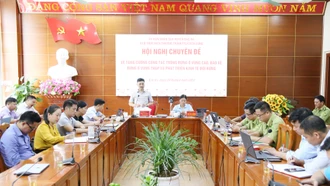 Bắc Hà triển khai công tác trồng, bảo vệ rừng