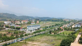 Thu tiền sử dụng đất mới đạt 25% chỉ tiêu