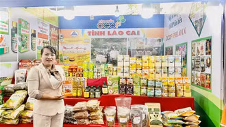 Giá trị các sản phẩm OCOP đạt hơn 30 tỷ đồng