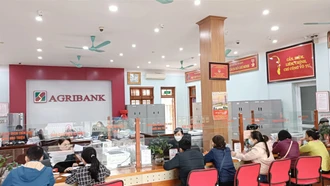 Agribank Bát Xát đáp ứng đủ nhu cầu vốn phát triển kinh tế