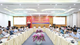 UBND tỉnh triển khai Quy hoạch thăm dò, khai thác, chế biến và sử dụng các loại khoáng sản