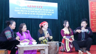 Hội Liên hiệp Phụ nữ tỉnh: Tổ chức hội nghị phòng chống bạo lực gia đình
