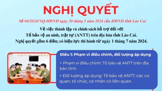 [Infographic] Nghị quyết HĐND tỉnh về thành lập và hỗ trợ Tổ bảo vệ an ninh, trật tự