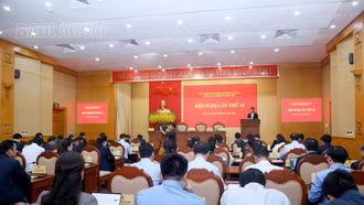 Khai mạc Hội nghị Ban Chấp hành Đảng bộ tỉnh lần thứ 15