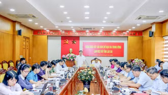 Thường trực Tỉnh ủy làm việc với Ban chỉ đạo 354 Trung ương