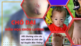 Bệnh dại trên chó - nỗi lo ở Bảo Thắng