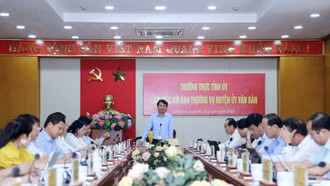 Văn Bàn cần phát triển theo hướng đồng bộ, toàn diện và bền vững