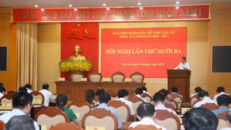 Khai mạc Hội nghị Ban chấp hành Đảng bộ tỉnh lần thứ mười ba