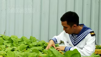 “Vườn treo trên biển” - công trình của sáng tạo và nhẫn nại