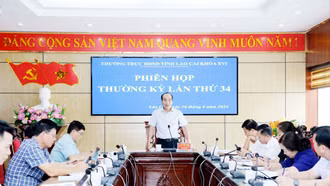 HĐND tỉnh thực hiện 5 cuộc giám sát chuyên đề các nội dung cử tri quan tâm trong tháng 4/2024 