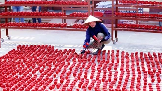 Bảo Thắng: Nhiều chỉ tiêu phát triển đạt hơn 50% sau nửa năm