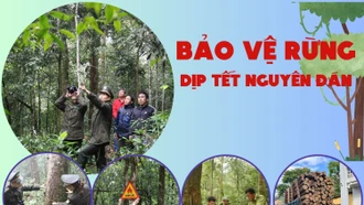 Bảo vệ rừng dịp tết Nguyên đán