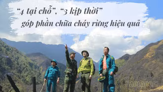 “4 tại chỗ”, “3 kịp thời” góp phần chữa cháy rừng hiệu quả