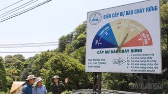 Túc trực 24/24 giờ bảo vệ rừng trong dịp nghỉ lễ