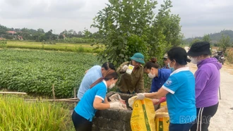 Bảo Thắng ra quân thu gom vỏ bao, gói thuốc bảo vệ thực vật