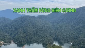 Xanh thắm rừng biên cương