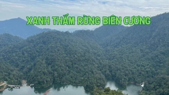 Xanh thắm rừng biên cương