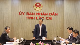 Tăng trưởng tín dụng Ngân hàng Chính sách xã hội tỉnh đạt 13,9%