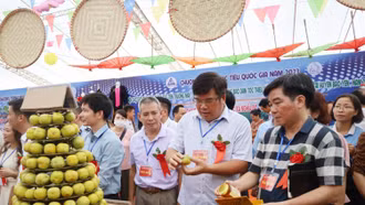 120 gian hàng tham gia Hội chợ giới thiệu sản phẩm xúc tiến thương mại vùng đồng bào dân tộc thiểu số và miền núi năm 2023.