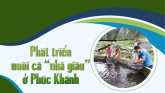 Phát triển nuôi cá “nhà giàu” ở Phúc Khánh