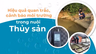 Hiệu quả quan trắc, cảnh báo môi trường trong nuôi thủy sản