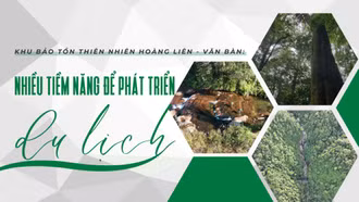 Khu Bảo tồn thiên nhiên Hoàng Liên - Văn Bàn: Nhiều tiềm năng để phát triển du lịch