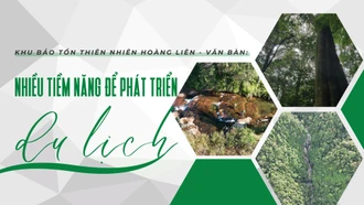 Khu Bảo tồn thiên nhiên Hoàng Liên - Văn Bàn: Nhiều tiềm năng để phát triển du lịch