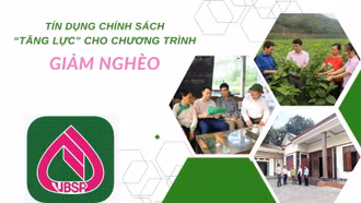 Tín dụng chính sách “tăng lực” cho chương trình giảm nghèo