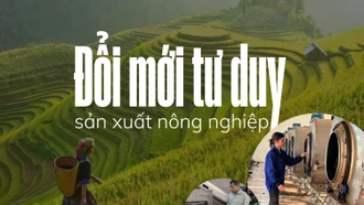 Đổi mới tư duy sản xuất nông nghiệp