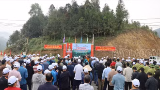 Bắc Hà phát động “Tết trồng cây đời đời nhớ ơn Bác Hồ” Xuân Giáp Thìn năm 2024