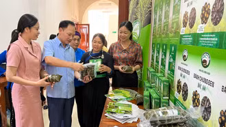 Công bố nhãn hiệu chứng nhận “Cốm Bắc Hà” và “Bánh chưng đen Bắc Hà”