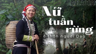 Nữ tuần rừng ở thôn người Dao