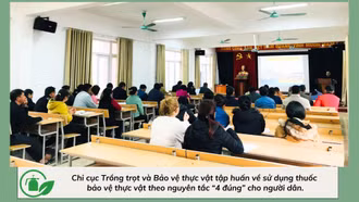 Để người dân quan tâm sử dụng thuốc bảo vệ thực vật sinh học