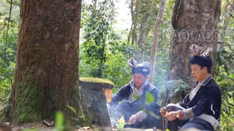 Nét đẹp cúng rừng đầu năm