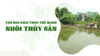 Văn Bàn khai thác thế mạnh nuôi thủy sản