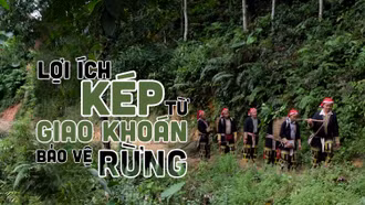 Lợi ích kép từ giao khoán bảo vệ rừng