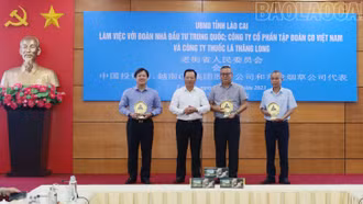 Thường trực UBND tỉnh làm việc với Đoàn nhà đầu tư Trung Quốc, Công ty Cổ phần Tập đoàn CĐ Việt Nam và Công ty thuốc lá Thăng Long.