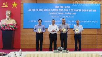 Thường trực UBND tỉnh làm việc với Đoàn nhà đầu tư Trung Quốc, Công ty Cổ phần Tập đoàn CĐ Việt Nam và Công ty thuốc lá Thăng Long.