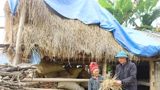 Tăng cường các biện pháp bảo vệ đàn gia súc trước rét đậm, rét hại