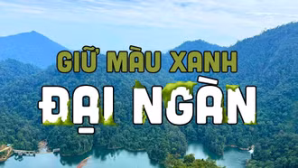 Giữ màu xanh đại ngàn