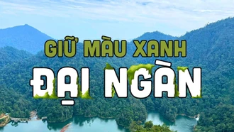 Giữ màu xanh đại ngàn