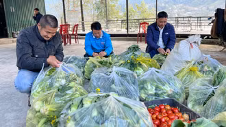 Đảm bảo hậu cần cho lực lượng tham gia chữa cháy rừng tại Vườn Quốc gia Hoàng Liên (Sa Pa)