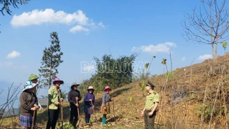 Si Ma Cai tổ chức 40 buổi tuyên truyền lưu động về phòng cháy, chữa cháy rừng cho người dân